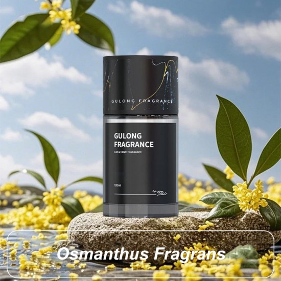  Begrenzte Zeit 50% Rabatt! Langanhaltender Autoduft