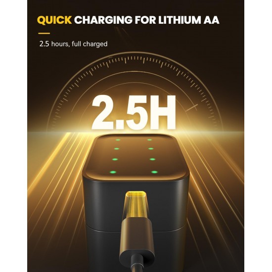 Begrenzte Zeit 50% RabattLithium-Ionen-Batterie mit integriertem Ladegertberladungsschutz