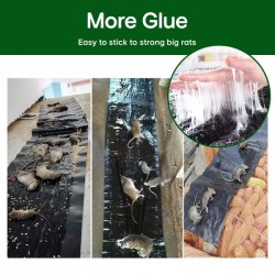 Heute 25%~50% RabattGroe Klebrige Mausefalle