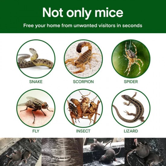 Heute 25%~50% RabattGroe Klebrige Mausefalle