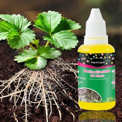 Schneller flüssiger Bewurzelungsstimulator für Pflanzen