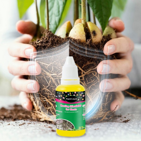 Schneller flüssiger Bewurzelungsstimulator für Pflanzen