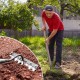 Befristetes Angebot5/6/7/8 Unkrautrechen mit Gartenzhnen aus Karbonstahl