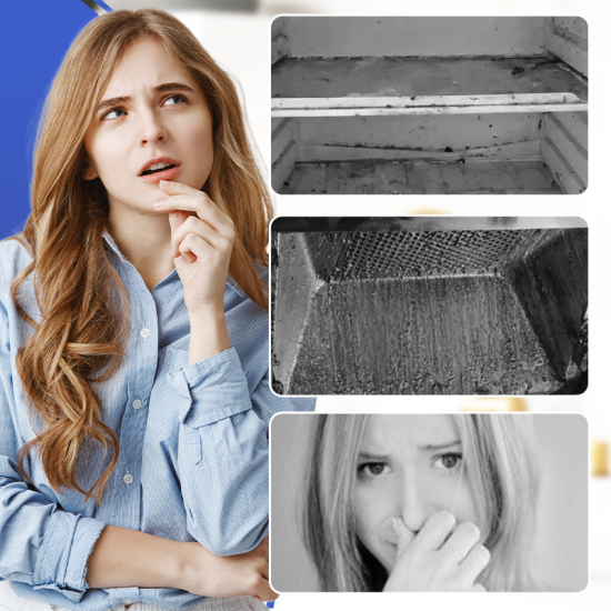  Profi-Kühlschrankreiniger | Stark entfettend & desinfizierend 