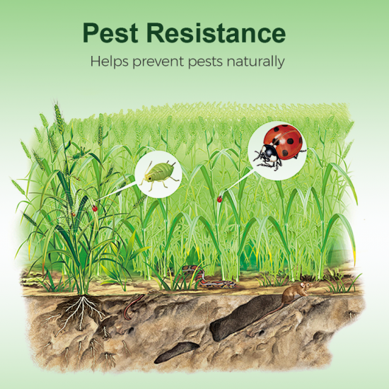 Nützliche Mikroorganismen-Dünger