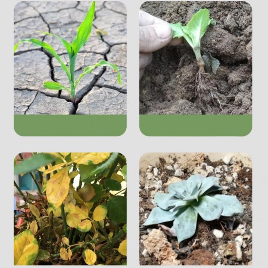 Universeller Bodenverbesserer mit Mehrfachwirkung