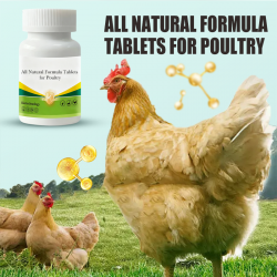 Natürliche Formel-Tabletten für Geflügel